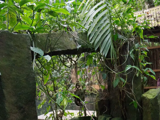 Reimagining Construction: The Advantage of Screw Pile Foundations