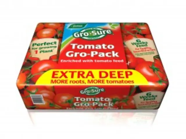 In this image there is a box.