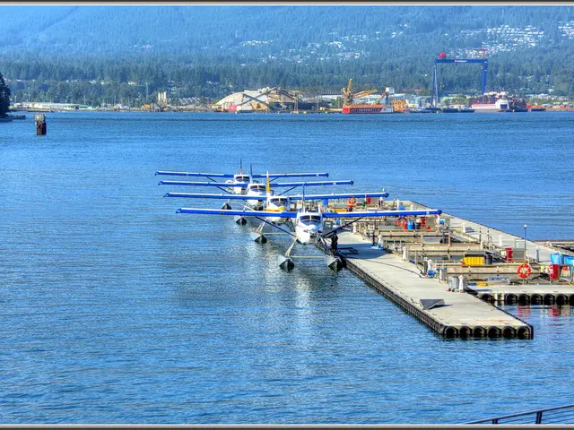 This image is clicked outside. There are airplanes on water. There are trees at the top. There are...
