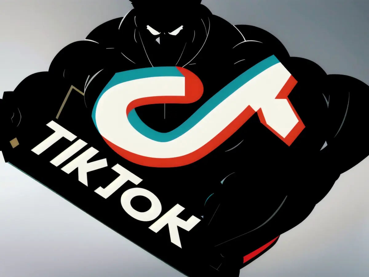 TikTok faced criticism from the European Commission for alleged breaches of EU law.