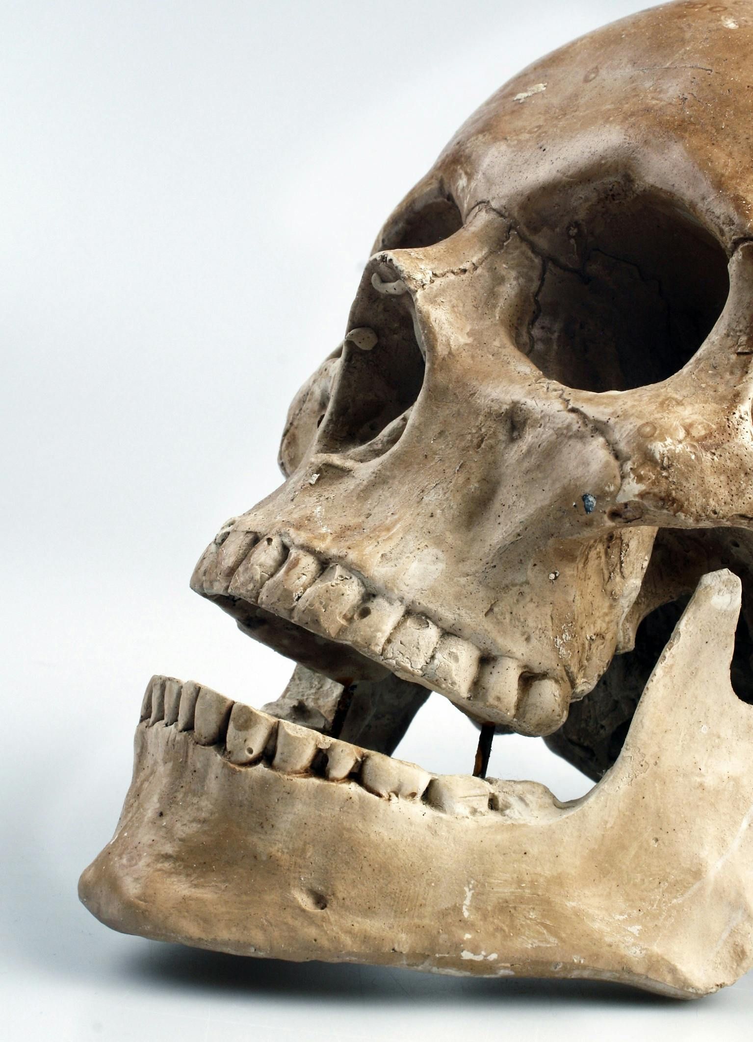 Rebuilt Cranium and Mandible of Shanidar Z. Individual. BBC Studios Captures Jamie Simonds' Images