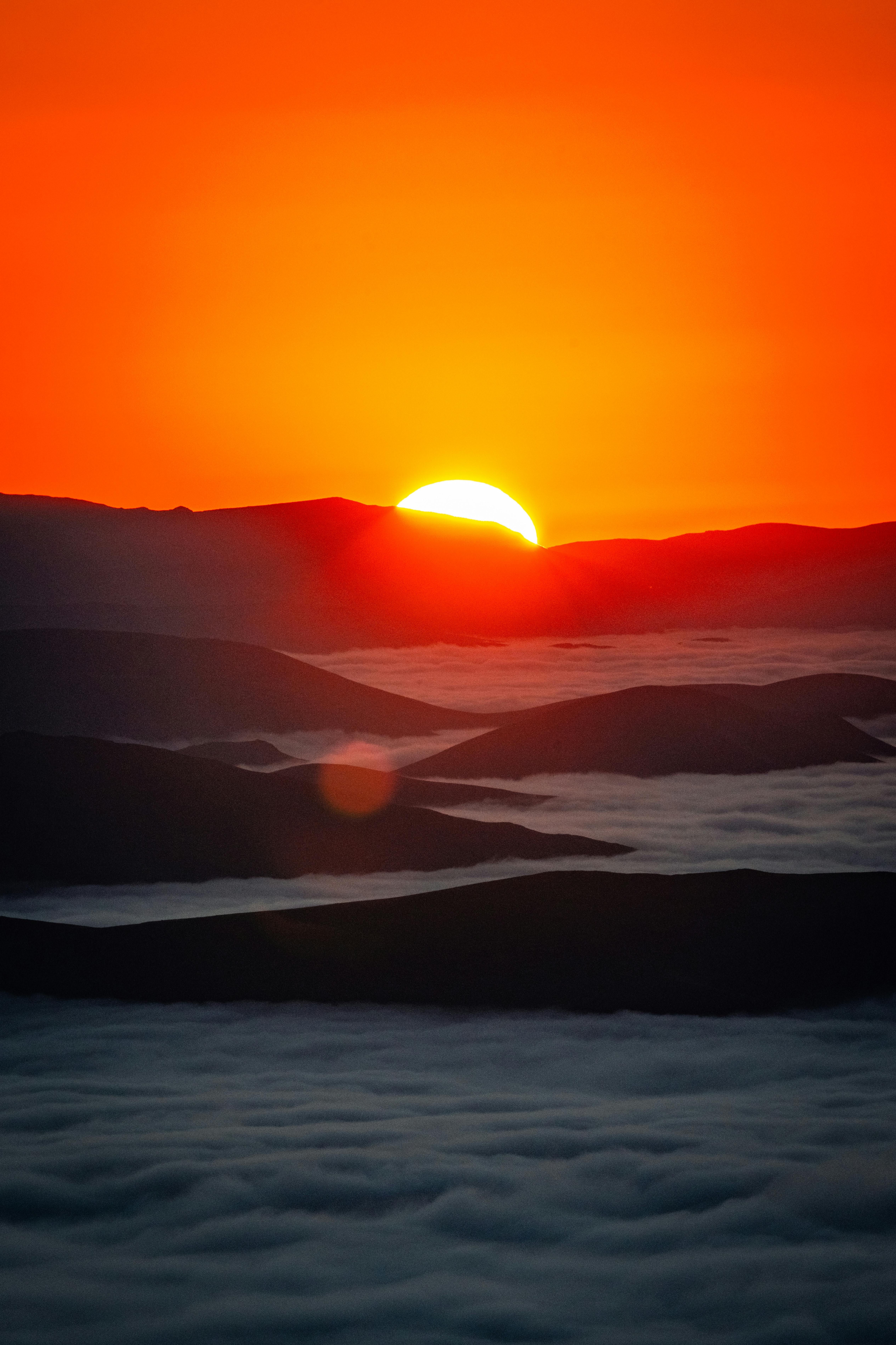 Suspect arrested for allegedly hacking into company's database, stealing sensitive information. Christmas-themed Quickspin slot, titled