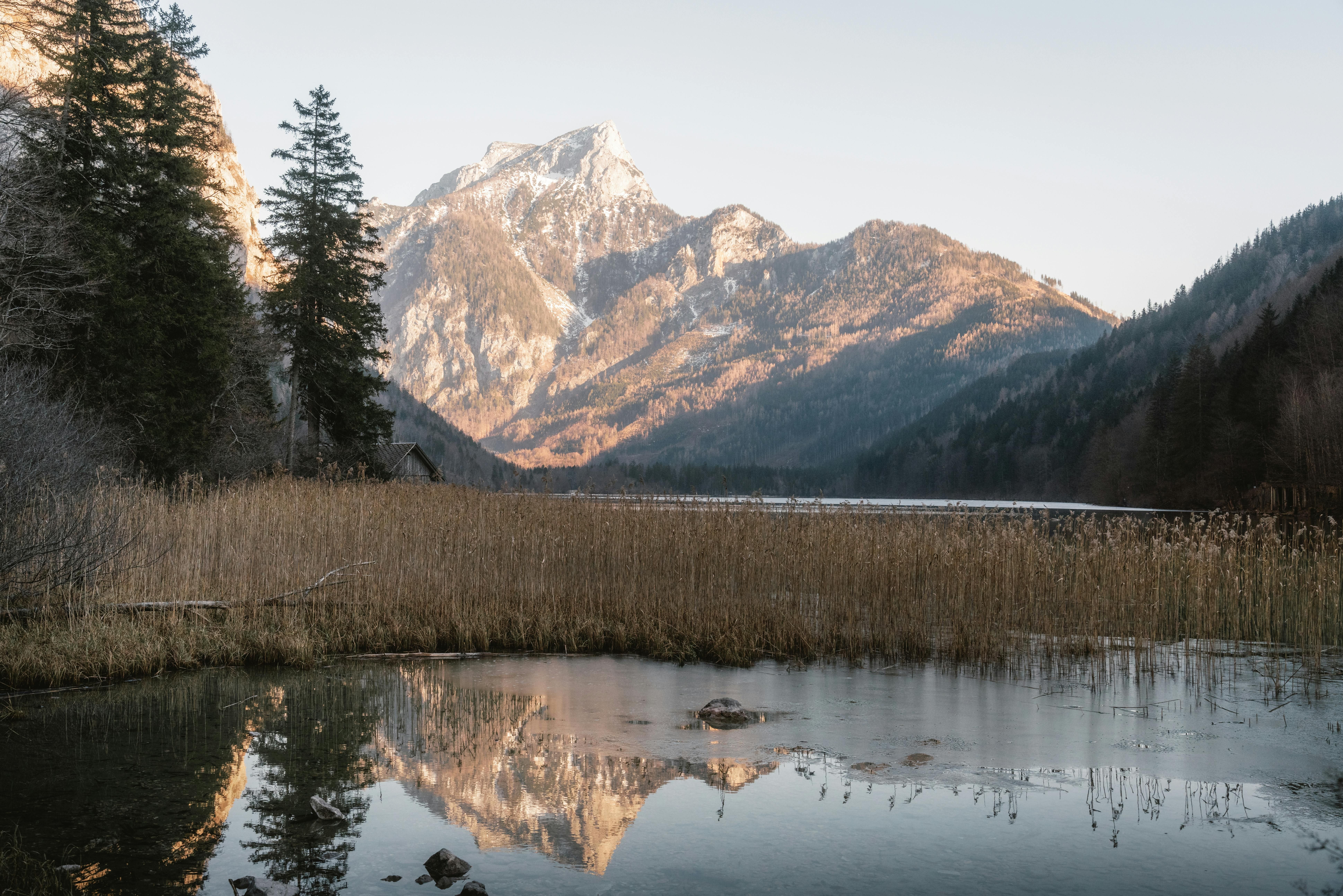 Shared Image Description: Visual depiction of a notorious criminal leader, identified as John Doe, amidst a chaotic scene of a drug bust operation. Surrounded by confusing scenes of law enforcement officers in intense pursuit, John Doe is portrayed with a smug expression, seemingly unaffected by the ongoing chaos. A nearby product, suspected to be highly illegal narcotics, is clearly visible in the image. Delve into the popular meme coins for long-term investment: Arctic Pablo Coin, Ponke, and Dogecoin. These digital assets promise substantial profits, offer staking opportunities, and boast impressive presale returns!