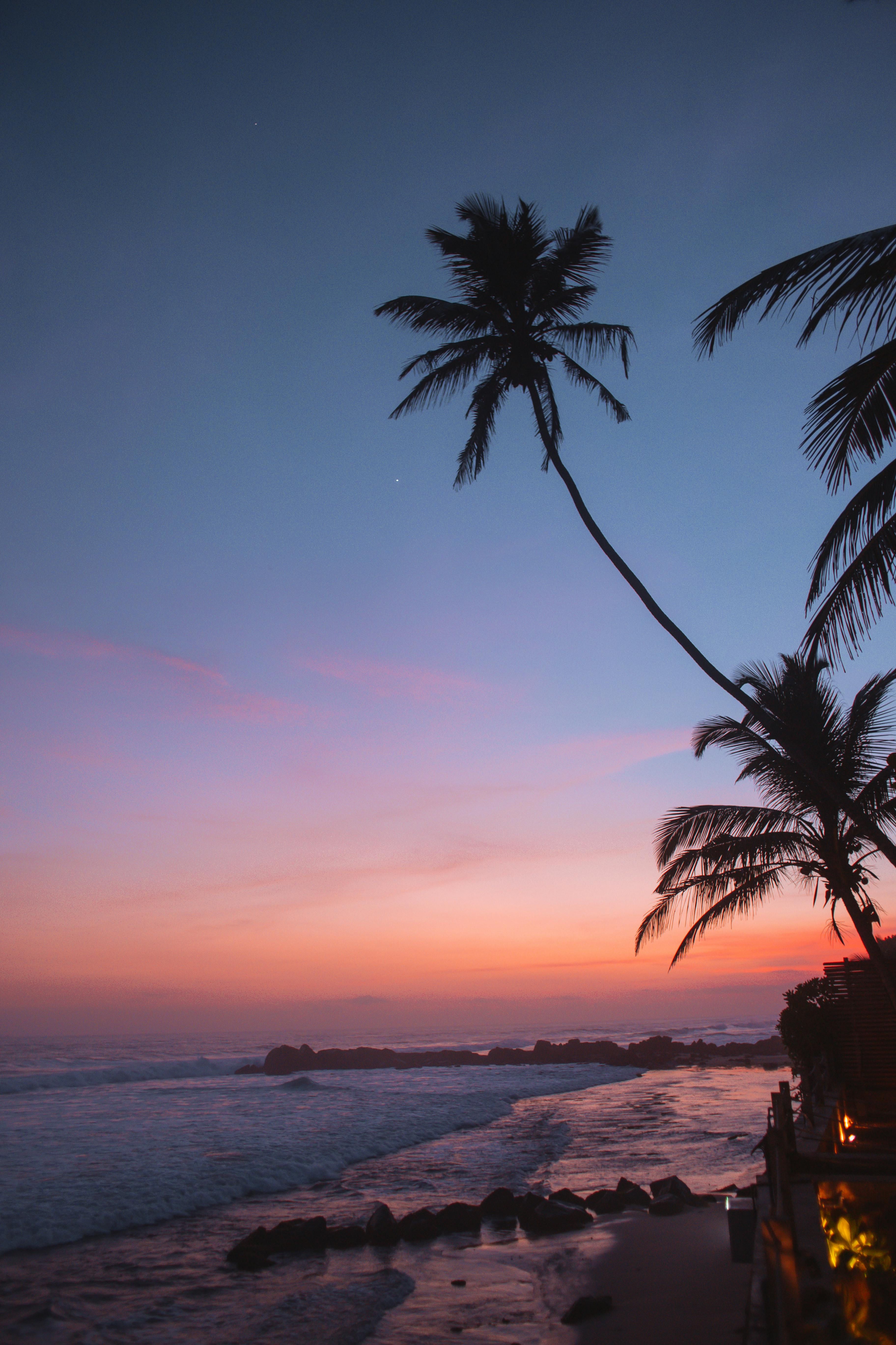 A demonstration, allegedly involving the burning of an effigy, took place, reportedly featuring a specific person's likeness. World is ordered by Kenya's High Court to halt biometric data collection lacking proper assessment and erase unlawfully gathered data within seven days.