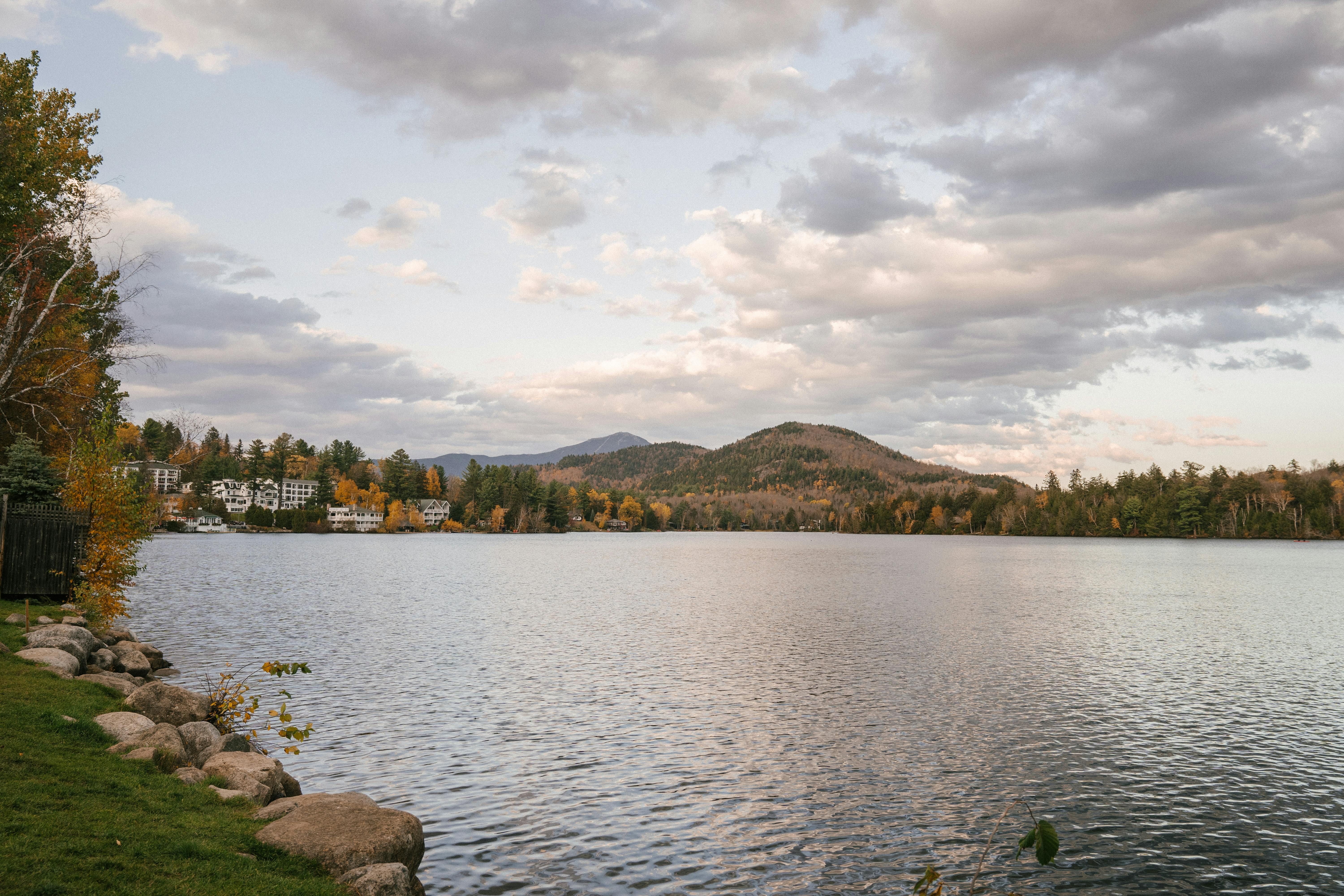 Social media platform Reddit plans to strengthen user verification methods following reports of...