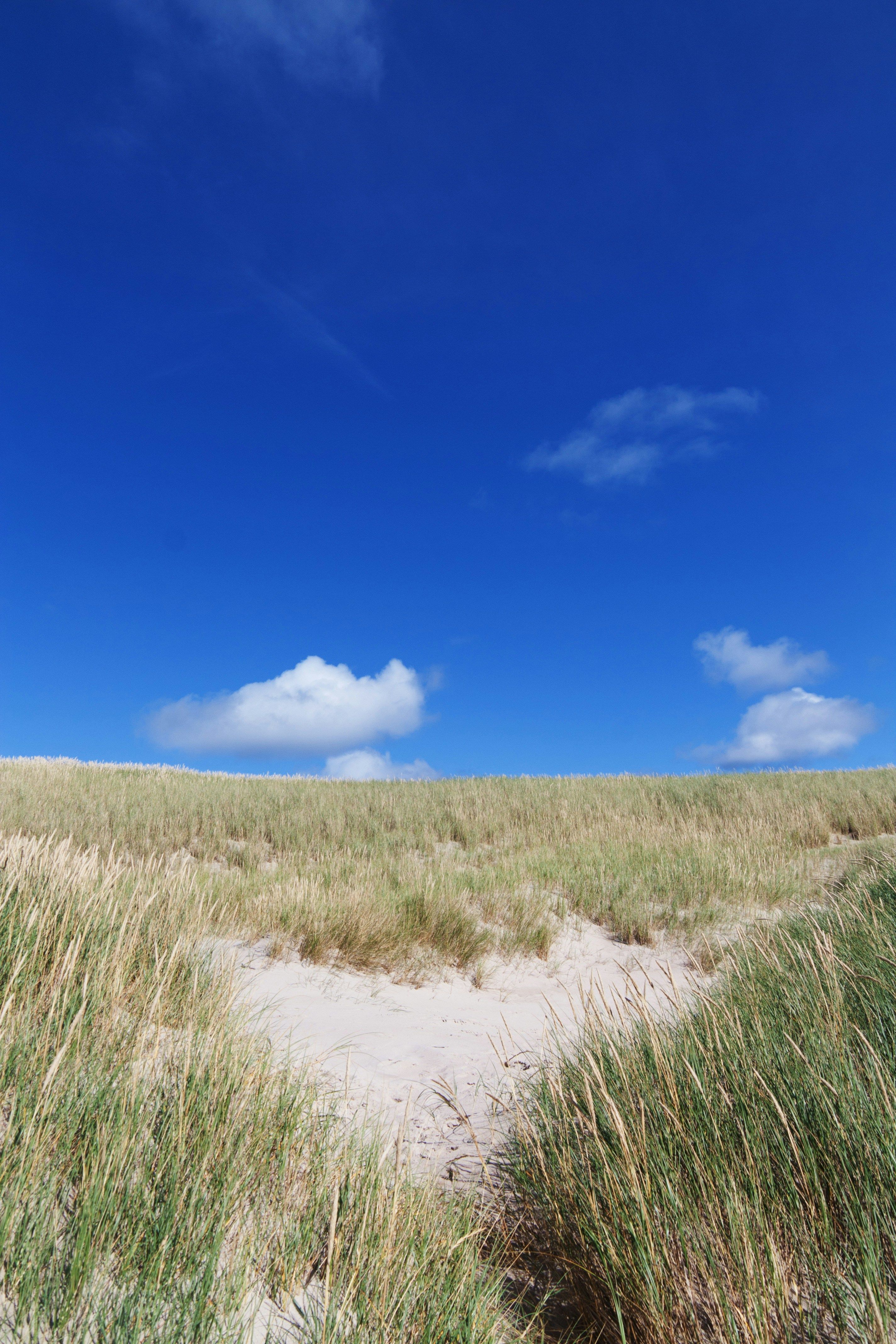 Investor Tim Draper upholds his prediction of Bitcoin hitting $250,000 this year, while exploration...