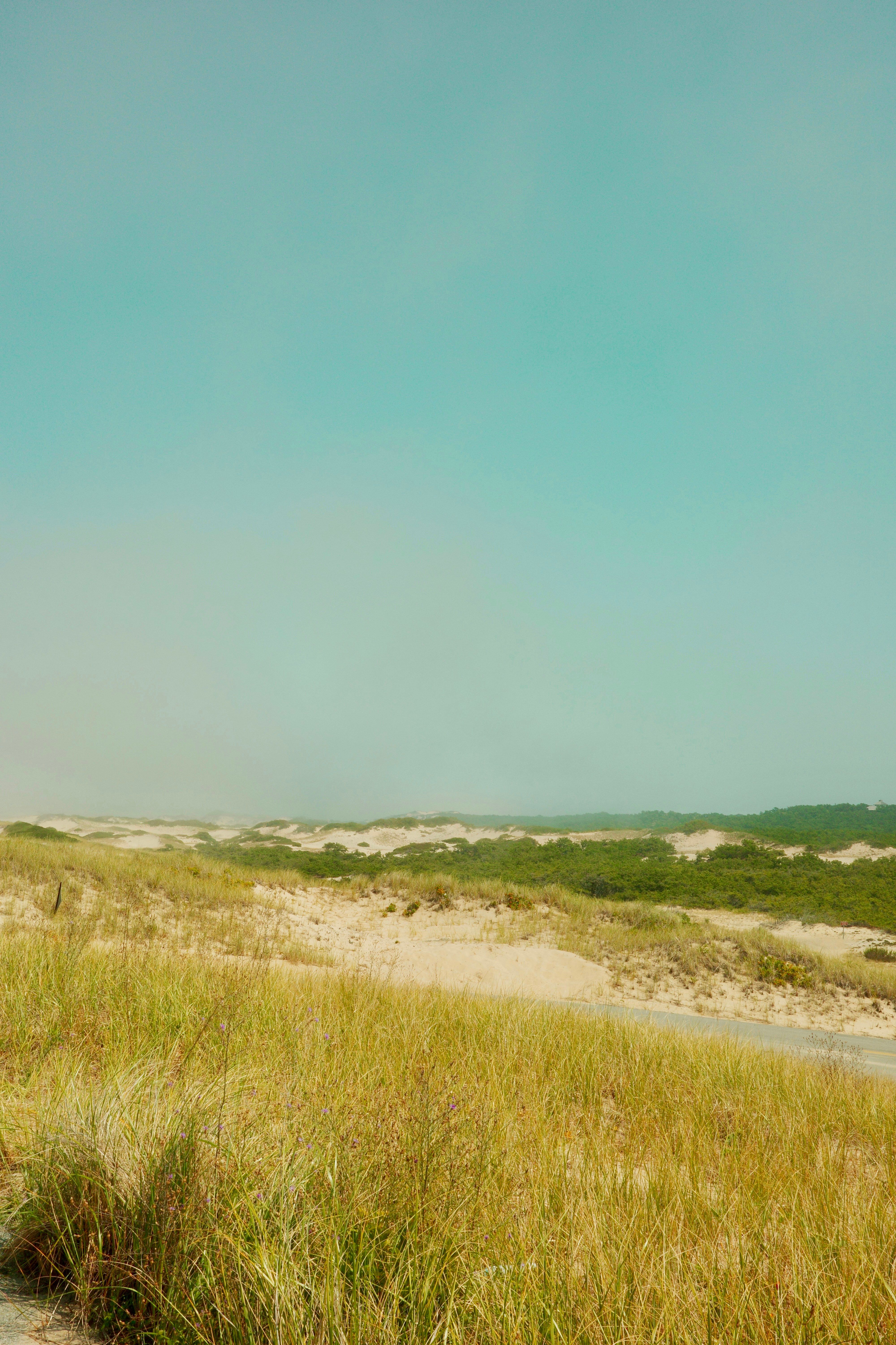 Illicit operators have adopted new tactics to infiltrate accounts on Russia's 'Gosuslugi', as...