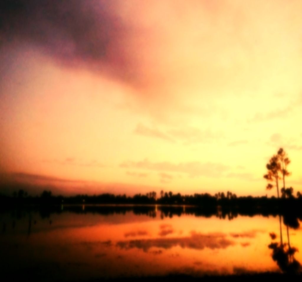 Researching suitable materials for your swimsuit collection? Discover top-tier fabric options for...