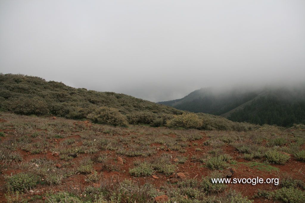 Navigating the internet securely is a growing concern for numerous users. A Virtual Private Network...