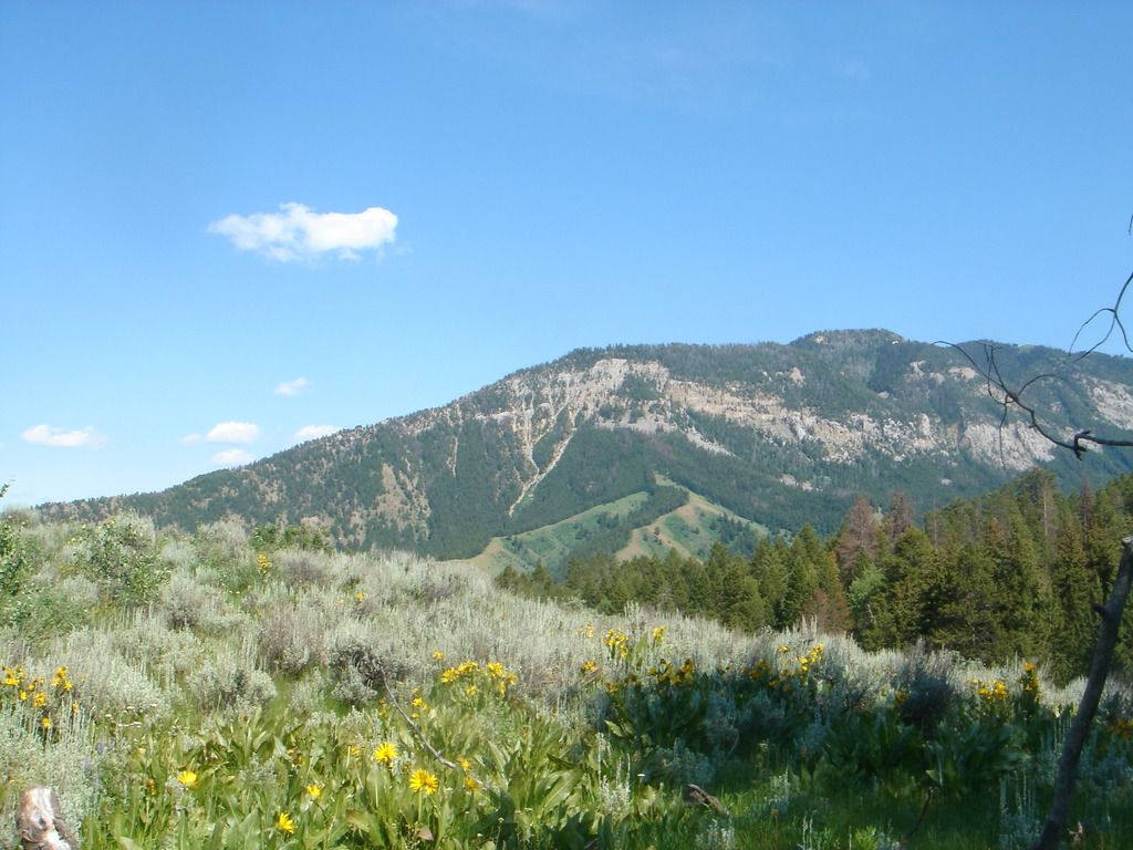 Crypto.com is disputing a Nevada decree, asserting that its sports-related contracts are federally...