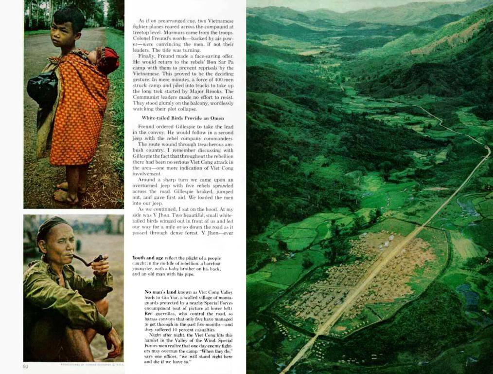 Uncover further details in this article