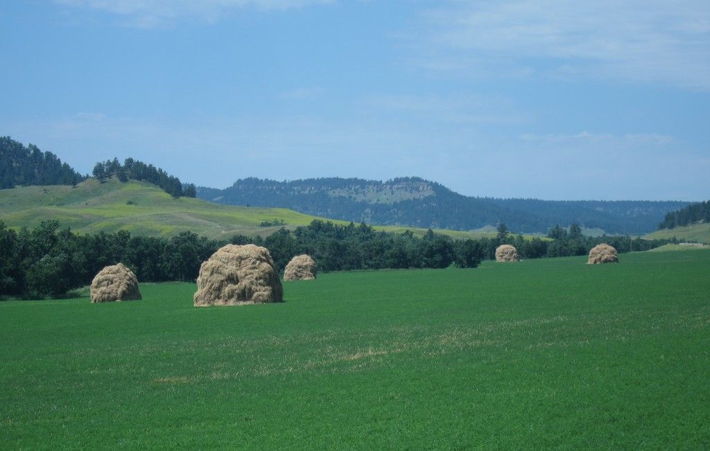 Elon Musk's contentious break with the Trump administration has lately become a hot topic, with...