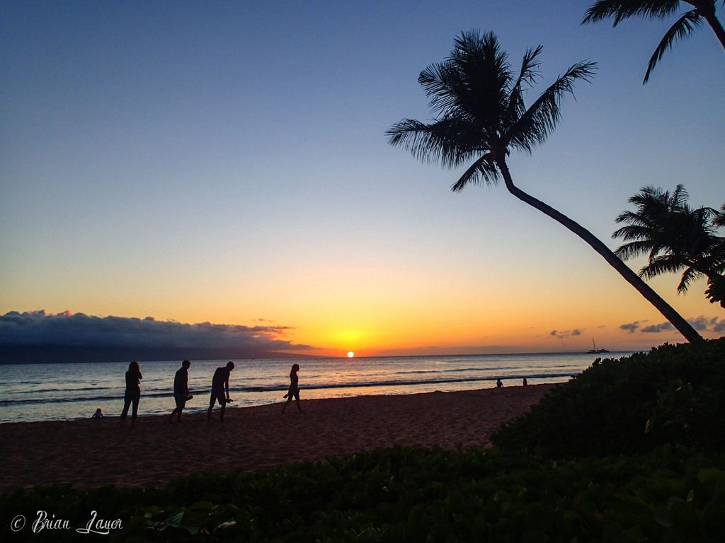 Uncover the strategy behind Dominion Harbor's utilization of 10 new Standard Essential Patents,...