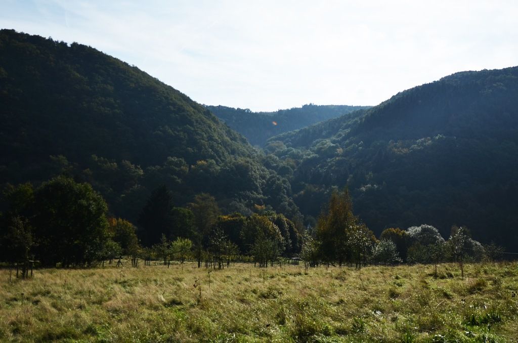 Second-gen Tiguan by Volkswagen demonstrates consistent performance in initial TÜV primary...