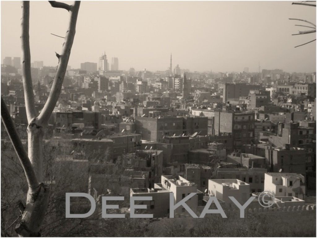 Digital Passport Photo Transition Encounters Hiccups Globally; Locally, Paper Photos Still Prevail