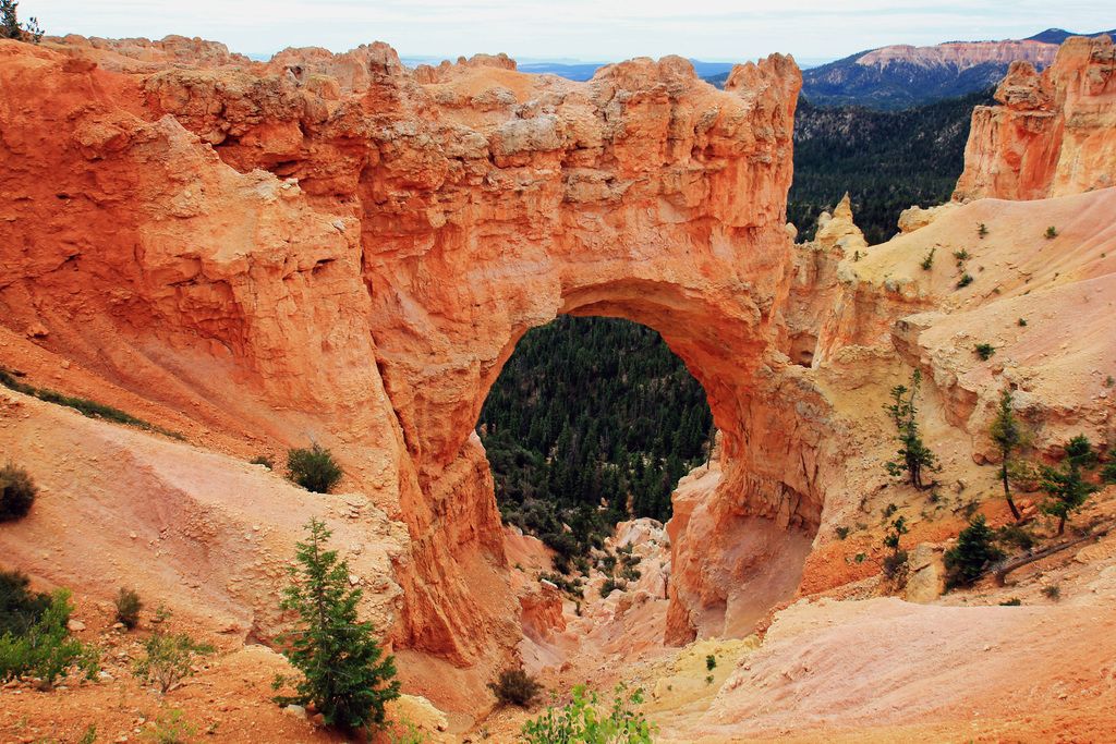 AI dominates discussions at RSAC Conference, with focus shifting from generative AI to agentic AI.