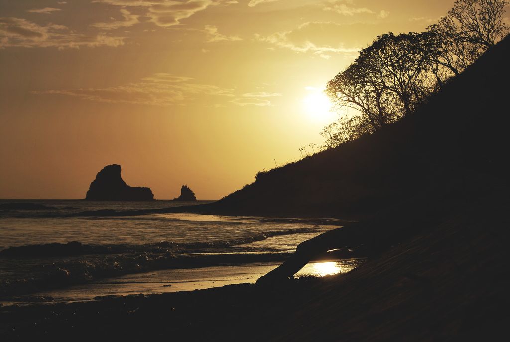 Science updates and insights – National and International News from West Hawaii Today