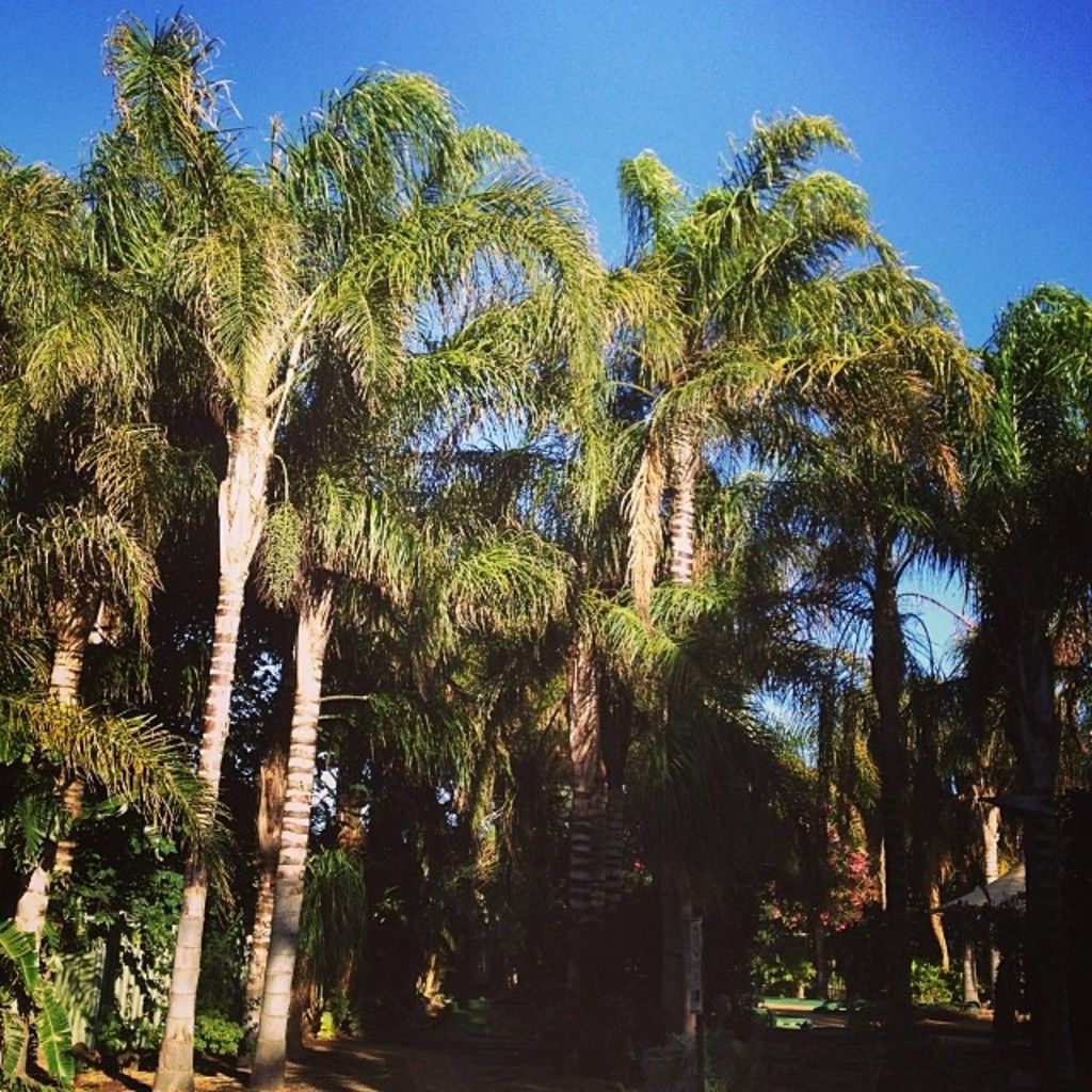 UK Issues Quantum Security Warning: Anticipated Cyber Risks from Quantum Computing Advancements